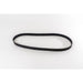 381088 V-Ribbed Belt
