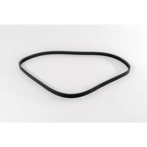 381089 V-Ribbed Belt