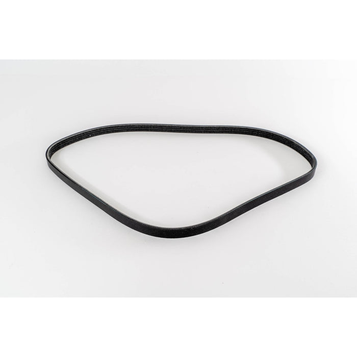 381089 V-Ribbed Belt
