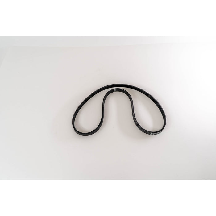 381094 V-Ribbed Belt