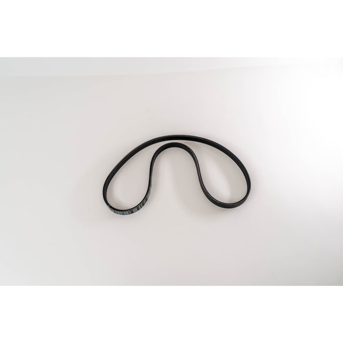 381095 V-Ribbed Belt