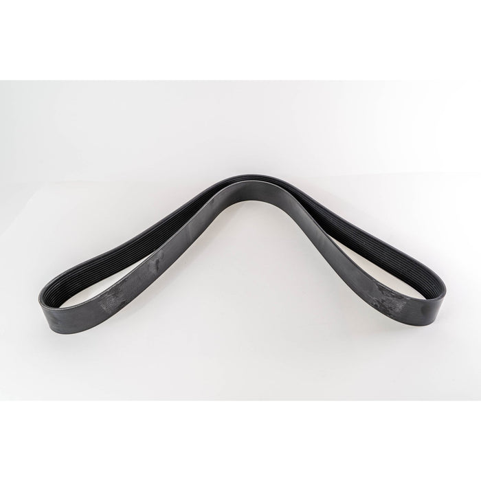 381130 V-Ribbed Belt