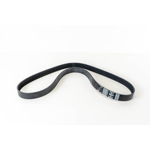 381171 V-Ribbed Belt
