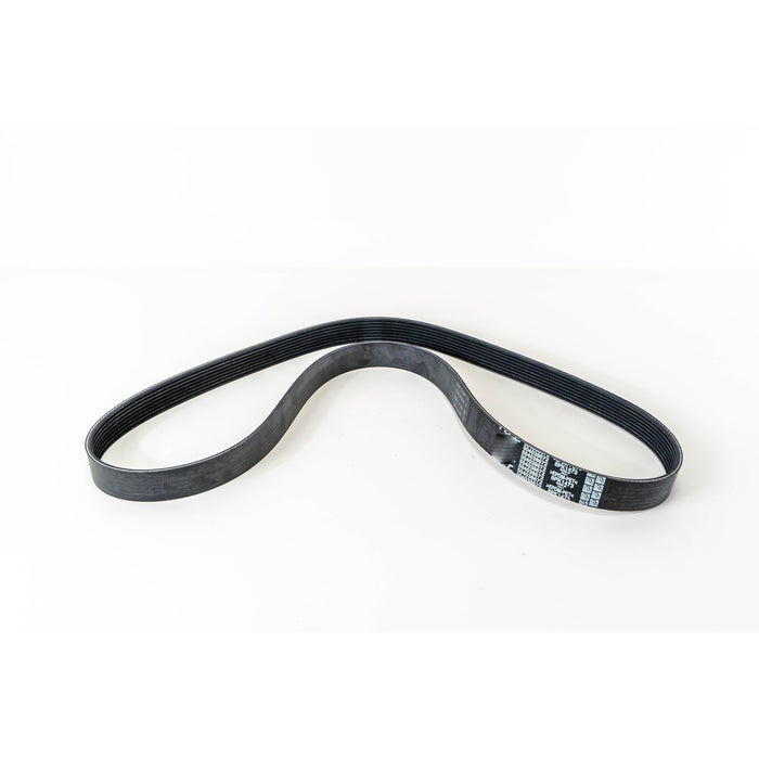 381171 V-Ribbed Belt
