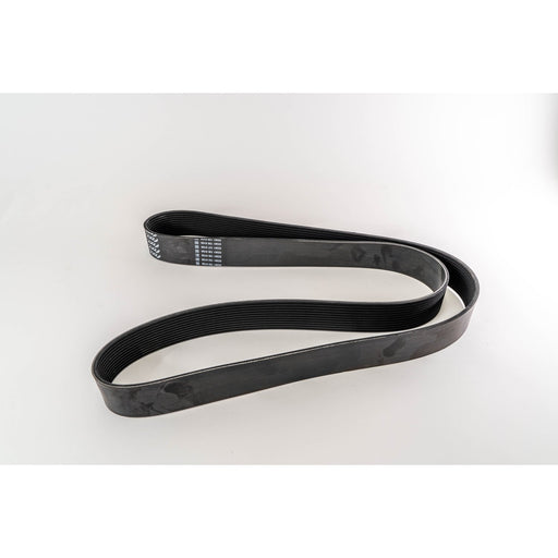 381190 V-Ribbed Belt