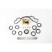 383580M Timing Chain Kit