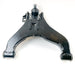 460395 Track Control Arm