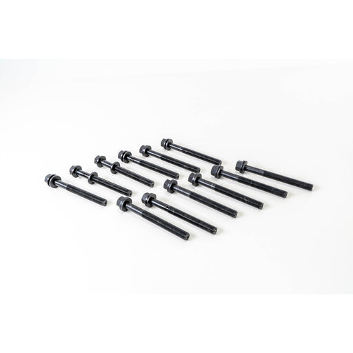 480130 Cylinder Head Bolt