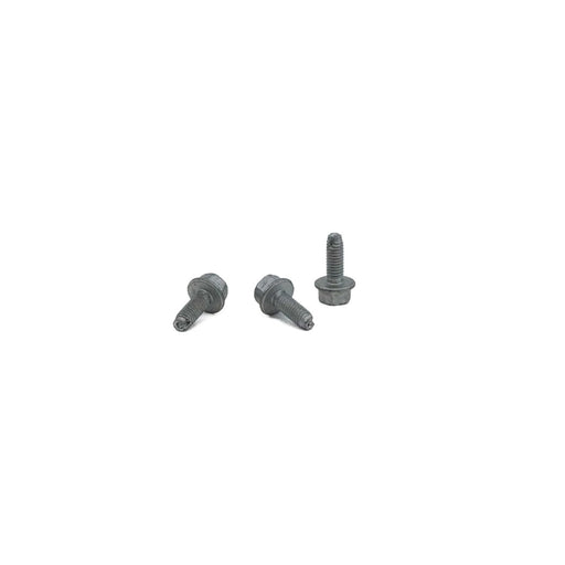 480290 Screw