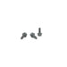 480290 Screw