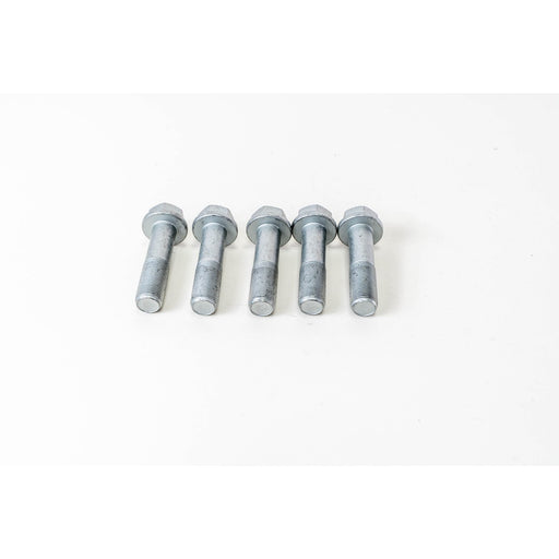 480780 Flywheel Bolt
