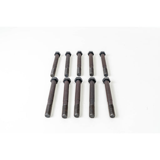 480970 Cylinder Head Bolt