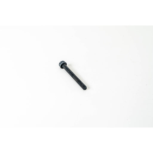 481700 Cylinder Head Bolt