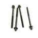 481920 Cylinder Head Bolt