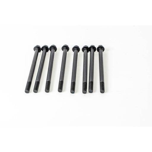 483396 Bolt Kit of cylinder head