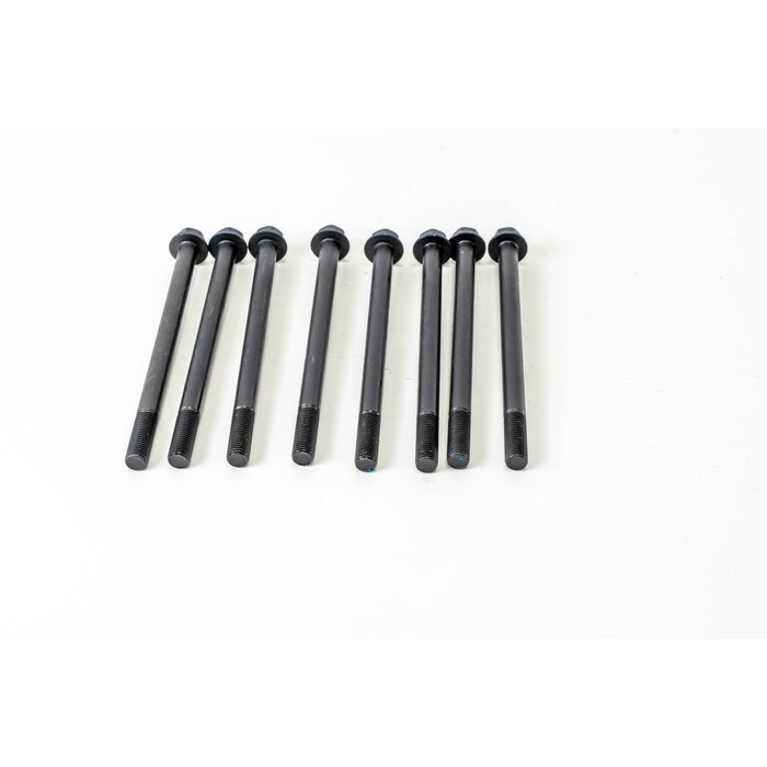 483396 Bolt Kit of cylinder head