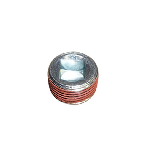 490028 Screw Plug, crankcase