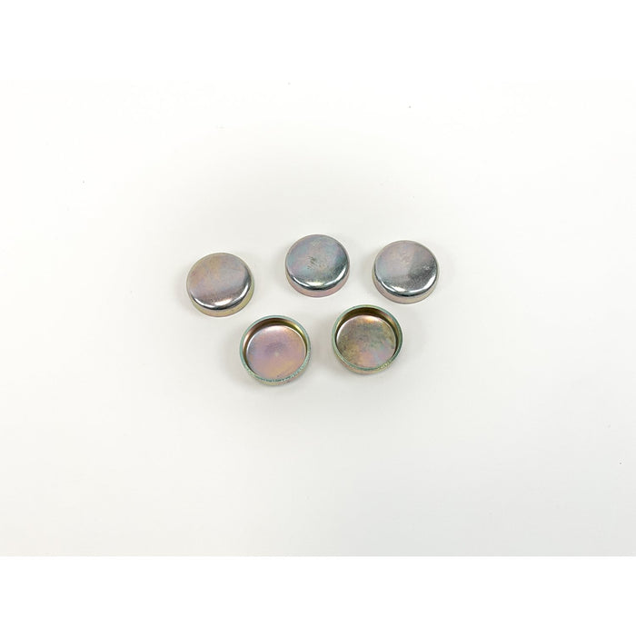 490131 Screw Plug, crankcase