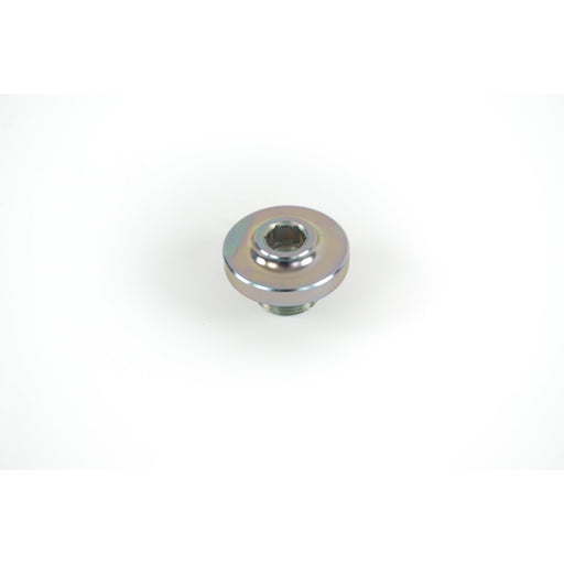 497300 Bolt, oil sump