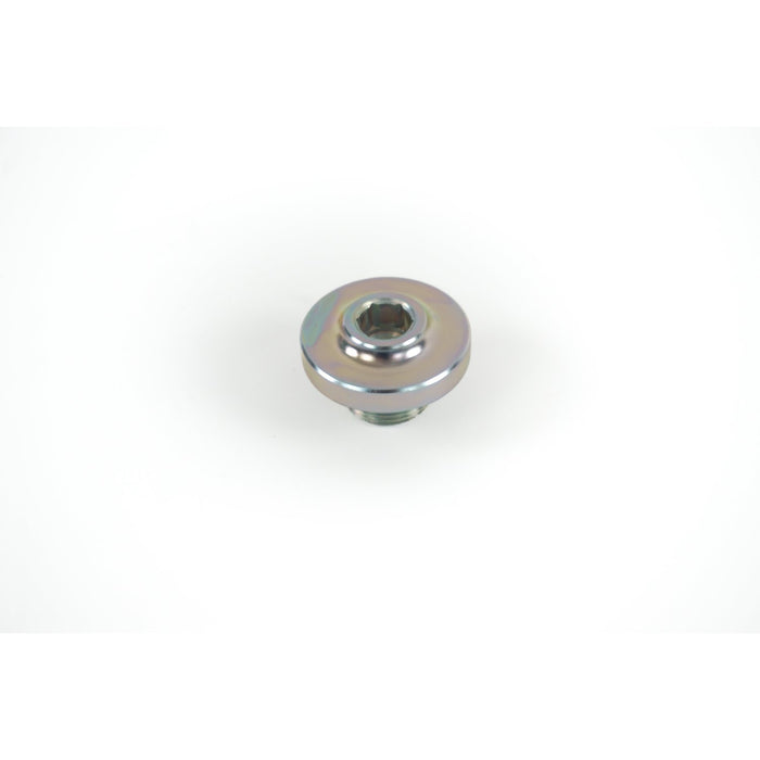 497300 Bolt, oil sump