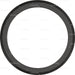 520052 Shaft Seal, crankshaft