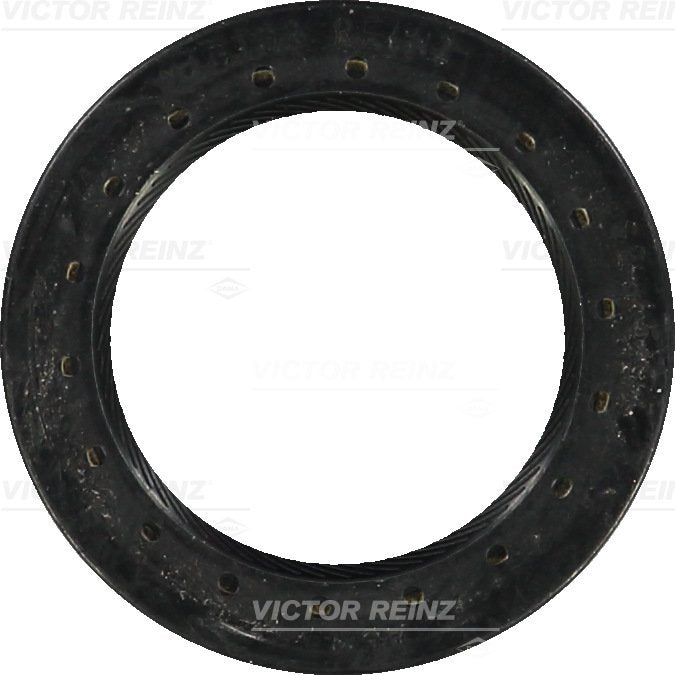 520075 Shaft Seal, camshaft