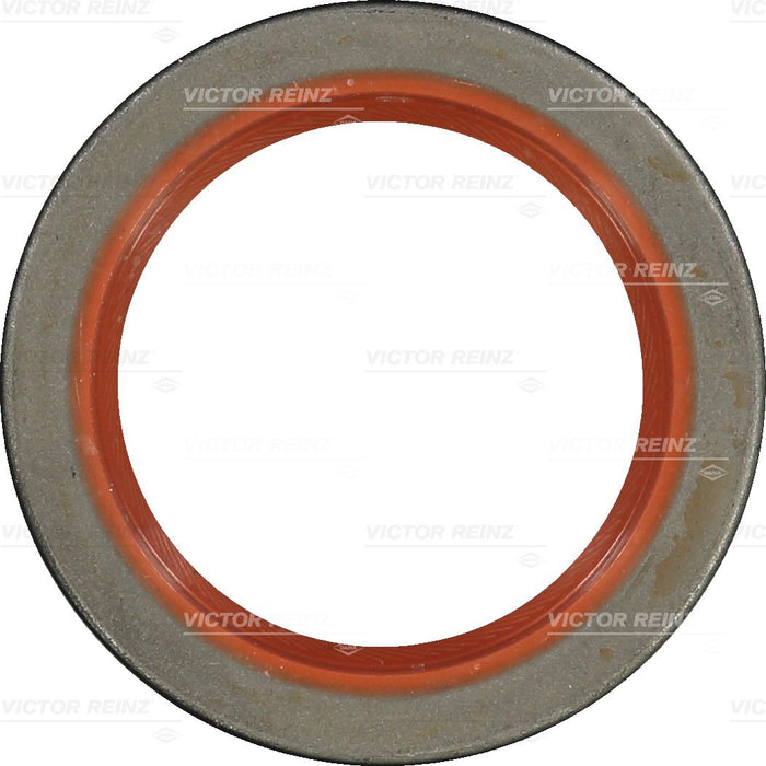 520093 Shaft Seal, injector pump