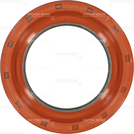 520380 Shaft Seal, crankshaft