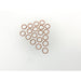520468IV Seal Ring