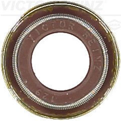 522035 Seal Ring, valve stem