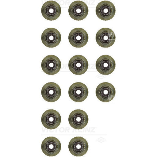 523060 Seal Set, valve stem