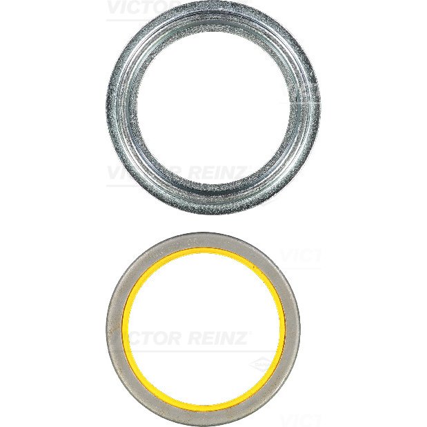 523983 Shaft Seal, crankshaft