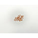 524531 Seal Ring