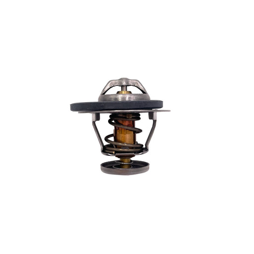 590040 Thermostat, coolant
