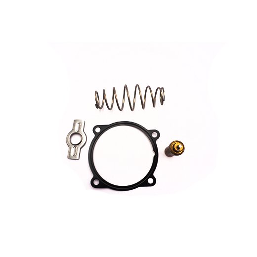 590090IV Thermostat, coolant