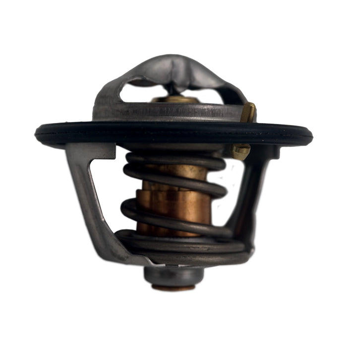 590110 Thermostat, coolant