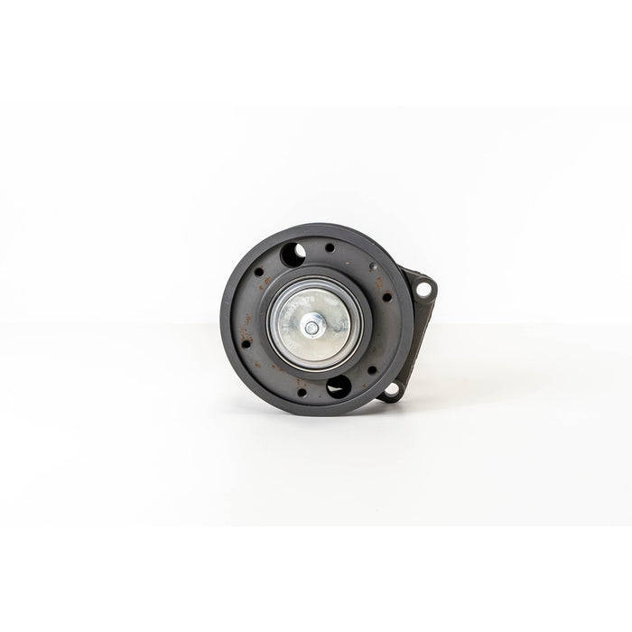 590150 Clutch, radiator fan