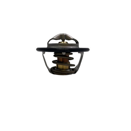 591336IV Thermostat, coolant