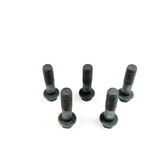630013 Screw