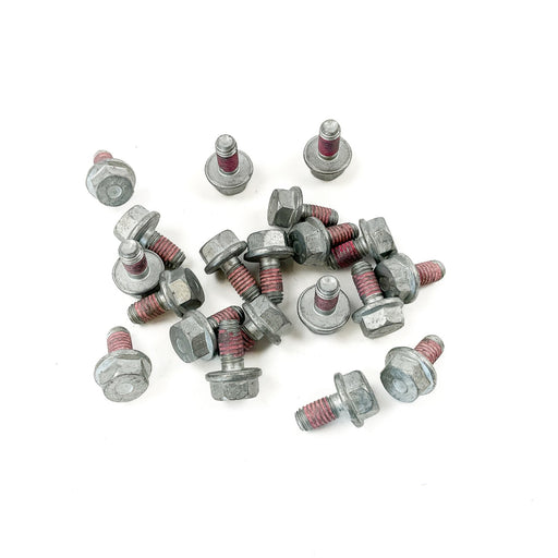 630317 Screw
