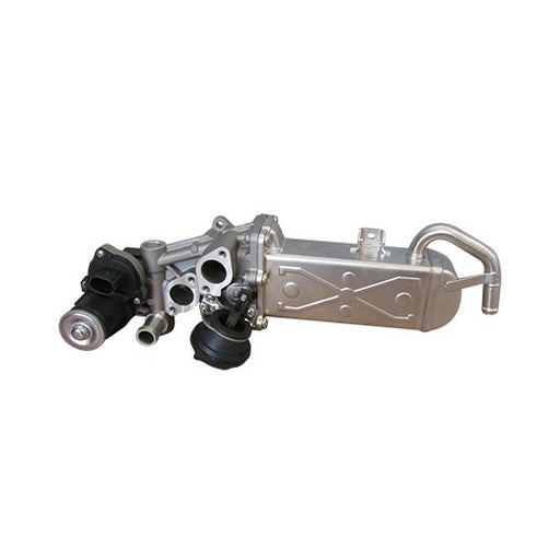 670004M EGR Module