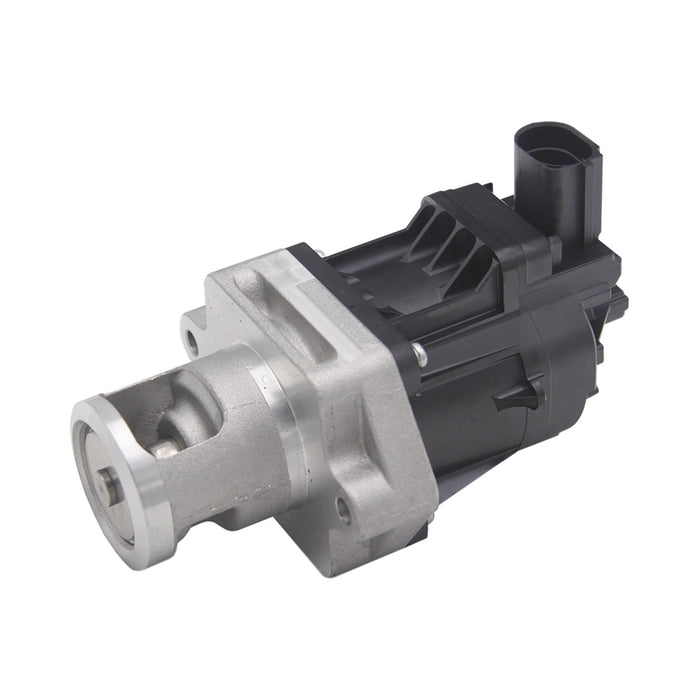 670093 EGR Valve