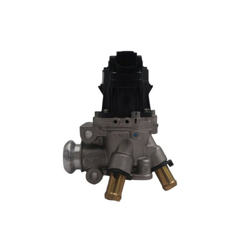 670375 EGR Valve