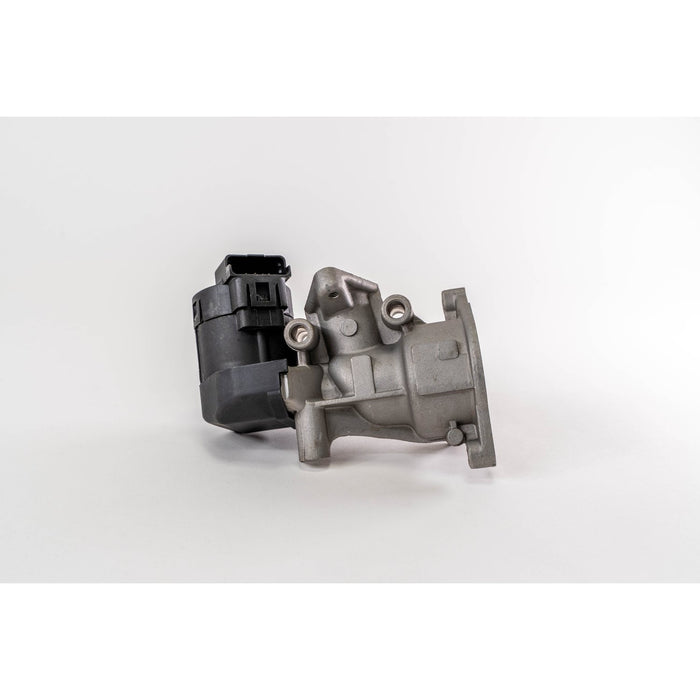 673001M EGR Valve