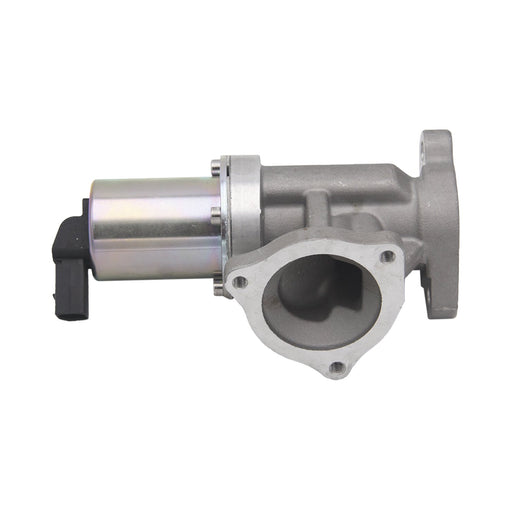 673027M EGR Valve