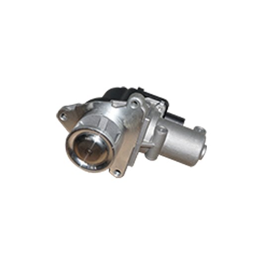 673045M EGR Valve