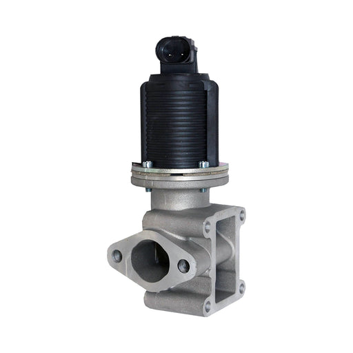 673078M EGR Valve