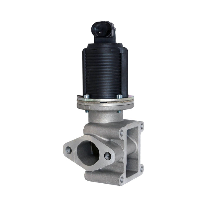 673078M EGR Valve