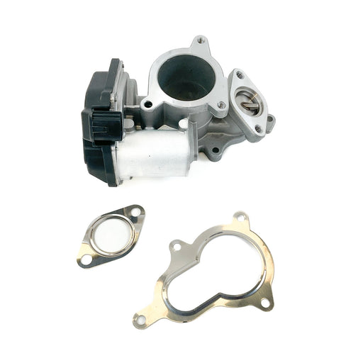 673079M EGR Valve