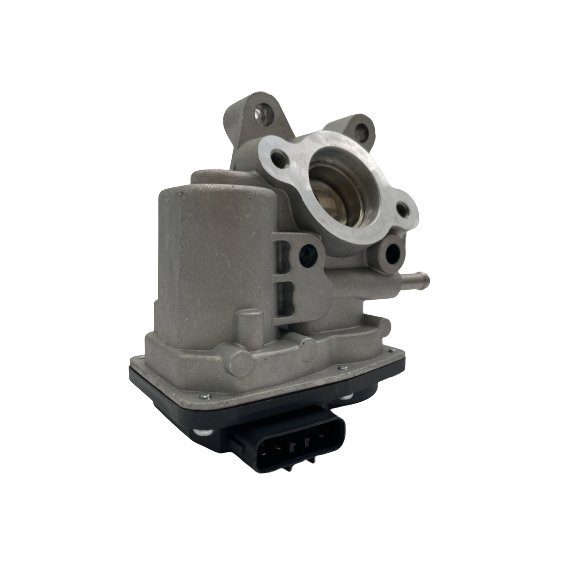 673079 EGR Valve